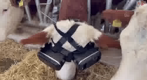 2022 01 26 01 40 41 2