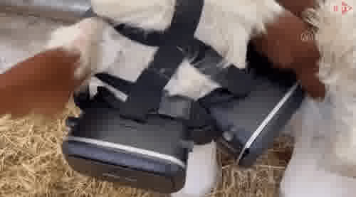 2022 01 26 01 40 41 3