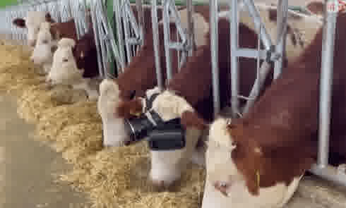 2022 01 26 01 40 41 4