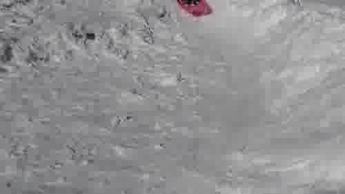 The sled and Maru 7z9KPTI5ixI 1