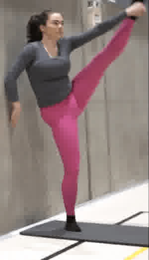 Viivi testaa 2022 02 21 Luna ja voimistelutemput 13