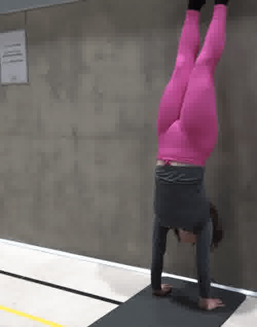 Viivi testaa 2022 02 21 Luna ja voimistelutemput 6