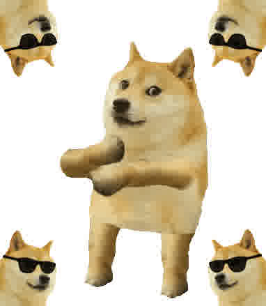 cool doge cool dog comp 01